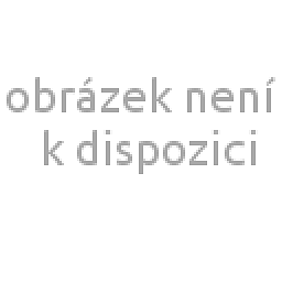 Obrázek pro produkt Svíčka Christmas Scent 120g