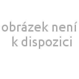 Obrázek pro produkt Sirup bylinný Čučoriedka 0,25l