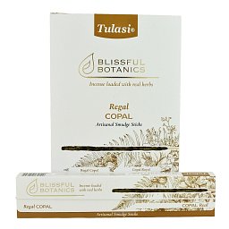 Obrázek pro produkt Vonné tyčinky Regal Copal 8ks